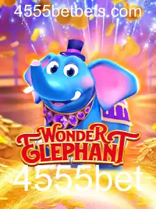 Descubra o Fascinante Mundo de WonderElephant: O Jogo que Conquista Multidões
